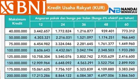 Pinjaman 50 Juta Angsuran Perbulan Berapa Untuk Modal Usaha Tanpa