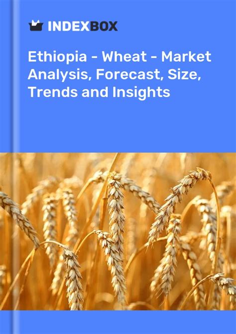 Ethiopias Wheat Market Report 2025 Prices Size Forecast And Companies