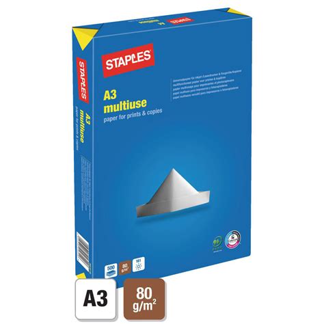 Papier A Blanc G Multi Usage Ramette De Feuilles Achat Pas Cher