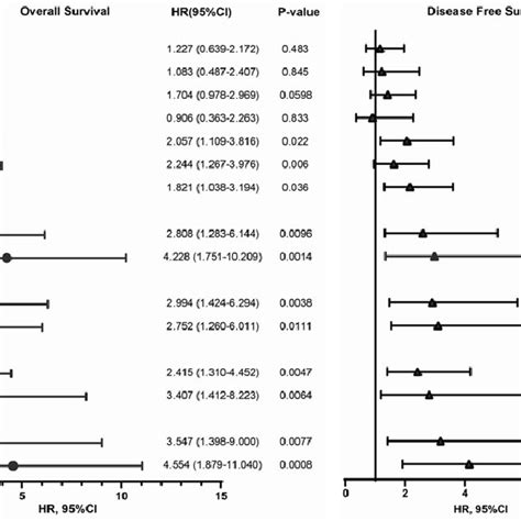 Forest Plot Of Potential Prognostic Factors For Stage II CRC Patients