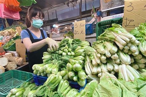 卡努來襲葉菜類菜價飆升 青蔥批發價每公斤漲到120元、青江菜破90元 上報 焦點