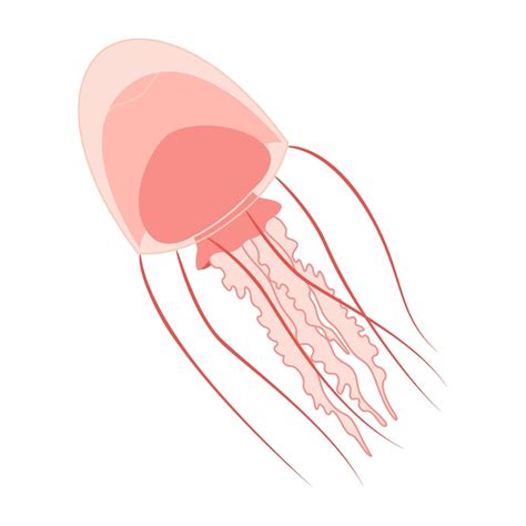 Premium Vector Cartoon Pink Jellyfish Trendy Flat Style Vector