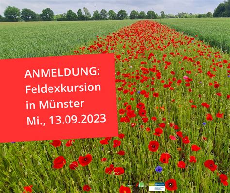 Feldexkursion In M Nster Stiftung Westf Lische Kulturlandschaft