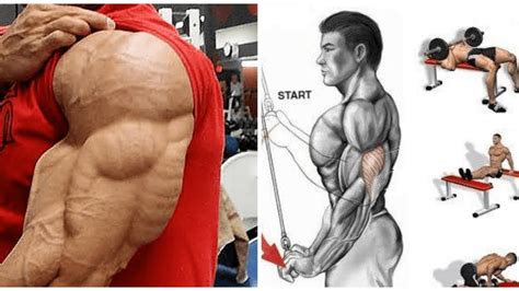 8 Best Triceps Exercices You Never Done Musculation Triceps YouTube