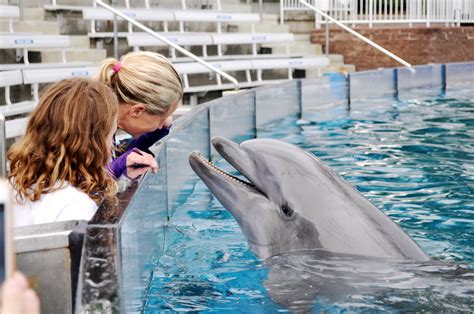 Seaworld San Diego Dolphin Encounter - amphibian plant examples