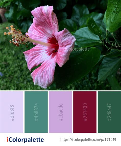 116 Chinese Hibiscus Color Palette Ideas In 2021 IColorpalette