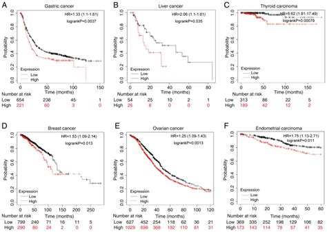 Ythdf Regulates Immune Cell Infiltration In Gastric Cancer Via