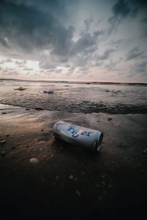 Person Throwing Trash in Waste Bin · Free Stock Photo