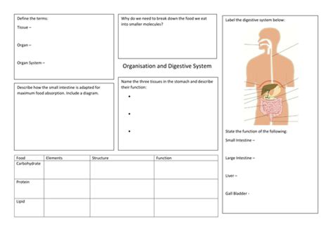 Organisation And Digestive System Revision Maps For New Aqa Gcse Spec Teaching Resources