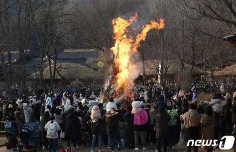 정월대보름 달집태우기 네이트 뉴스