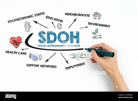 SDOH Social Determinants Of Health Concept Chart With Keywords And