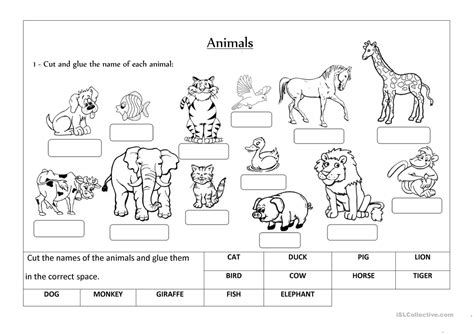 Classifying Animals Worksheet For Grade 1