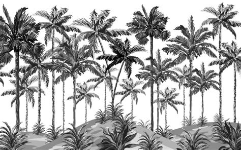 Black And White Palm Trees Wall Mural