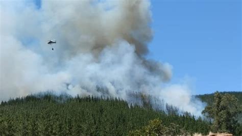 Decretan Alerta Roja Por Incendio Forestal En Cauquenes Diarios En Red