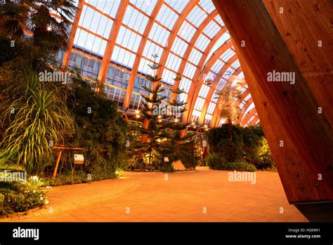 Sheffield Winter Garden Stock Photo Alamy