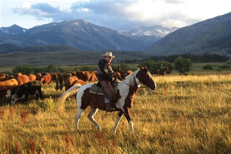 🔥 40 Montana Ranch Wallpapers Wallpapersafari