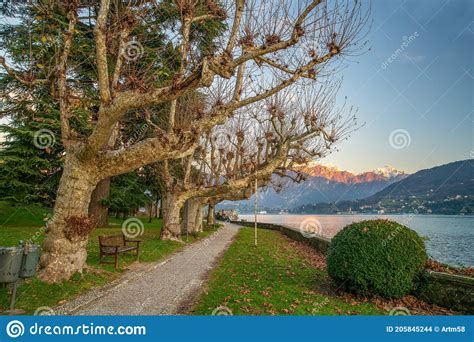 Amazing Landscape Withembankment On Lake Como Sunset Naked Trees In