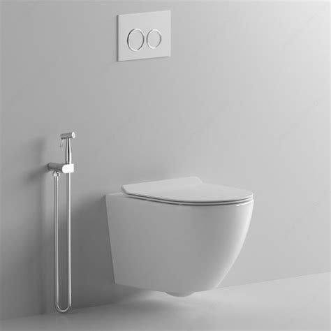 Hot Selling Factory Price Sanitary Ware Modern Ceramic Rimless Wall