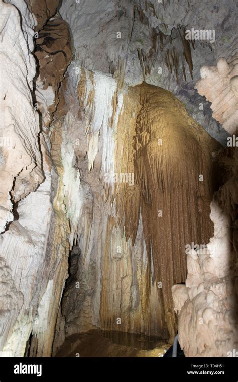 Waitomo Glowworm Caves, interior, Otorohanga, Waikato, North Island, New Zealand Stock Photo - Alamy