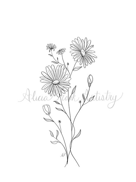 September Aster Birth Flower Alicia Frank Artistry