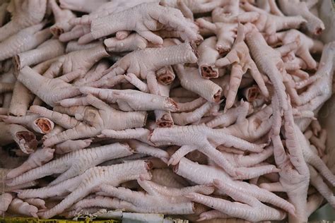 Chicken Feet For Sale At Bangkok Street Market By Stocksy Contributor