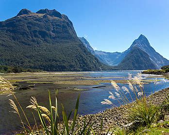 Ancient Fjords And Unspoiled Islands Of Southern New Zealand