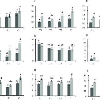 Phosphorus Contents Rice Root A Stem B Flag Leaf C Leaf D