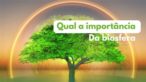 Qual A Import Ncia Da Biosfera Principais Tarefas E Mais