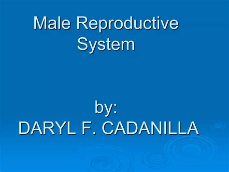 Male Reproductive System Ppt Ppt