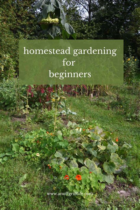 Homestead Gardening - An Off Grid Life