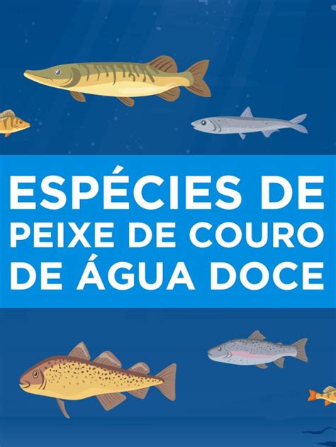 11 Tipos de peixes de couro de água doce características informações