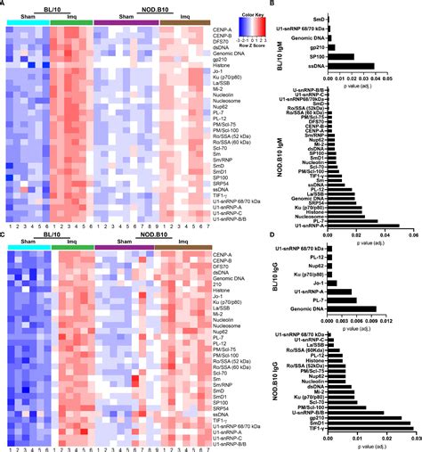 Frontiers Tlr Agonism Accelerates Disease In A Mouse Model Of