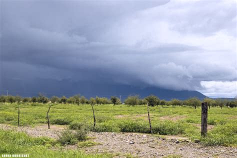 Emite CEPC Alerta Y Recomendaciones Para Evitar Accidentes Ante Fuertes