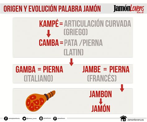 De dónde viene la palabra jamón Jamón Lovers