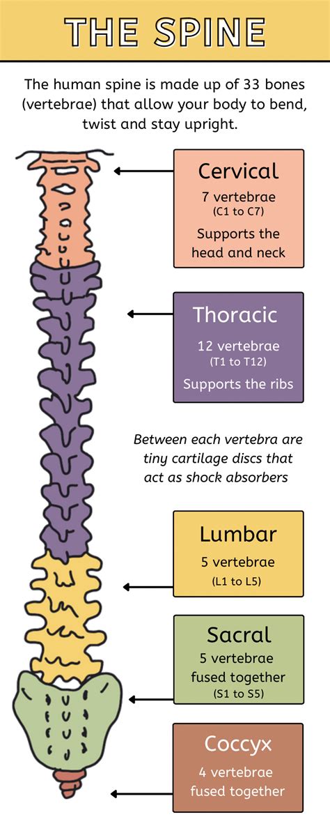 Five Exercises to Strengthen Your Cervical Spine