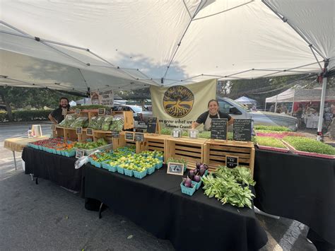 Farmer Feature Gold Roots Farm Chico Certified Farmers Market