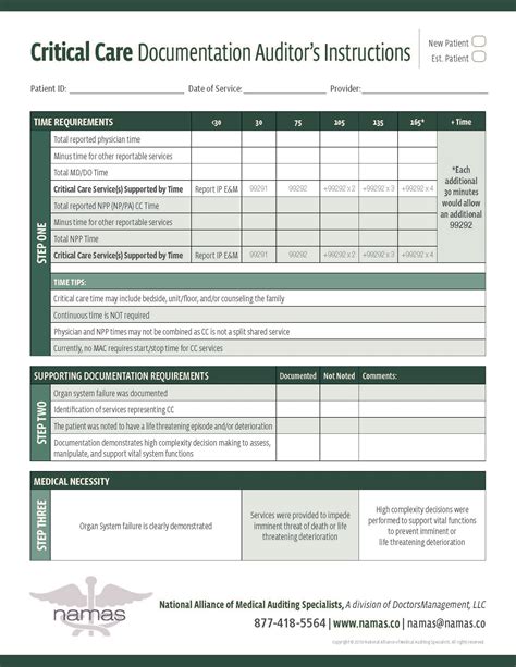 Medical Chart Audit Template