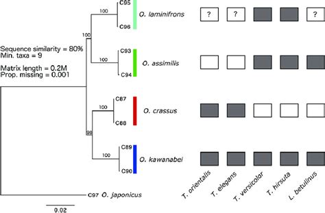 Maximum Likelihood Phylogeny Based On Restriction Site Associated Dna