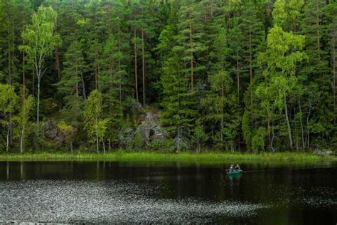 Helsinki Gef Hrte Wanderung Im Nuuksio Nationalpark Getyourguide