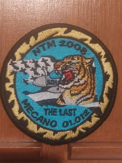 PATCH NTM 2008 Armée de l Air Tiger meet EUR 10 00 PicClick FR