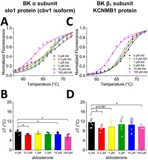 Ijms Free Full Text Differential Functional Contribution Of Bk