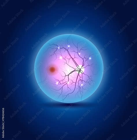 Anatomy of the eye fundus, beautiful blue design Stock Vector | Adobe Stock