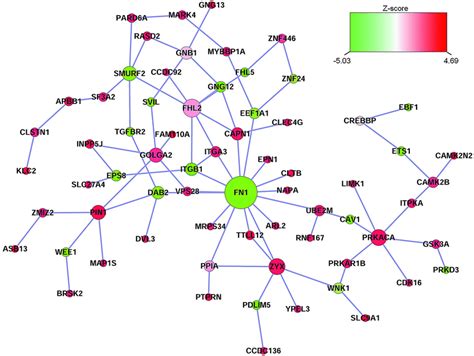 Gene Interaction Network Associated With Lipid Prs Each Node Download Scientific Diagram