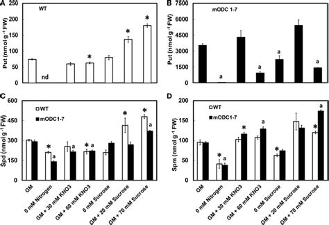 Frontiers Glutamate Ornithine Arginine Proline And Polyamine