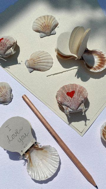 D I M I T Y On Instagram Sea Shell Notebooks Valentines Day