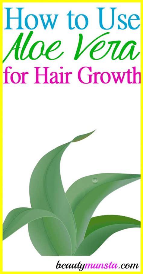 Regrow your Hair Naturally with Aloe Vera - beautymunsta - free natural ...