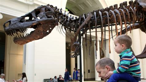 T Rex May Have Had Big Scaly Lips Study Says Fox News