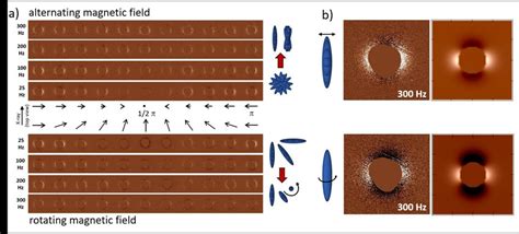 A Stroboscopic SAXS Data By Hematite Nanospindles In Alternating Top