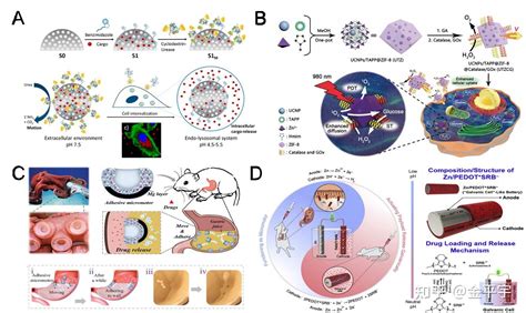 用于癌症治疗的智能微纳米机器人【6】微纳米机器人在肿瘤治疗中的应用：细胞内药物递送、药物释放、活细胞递送 知乎