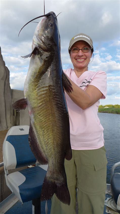 Homegrown Catfish Ponds In Fisherman